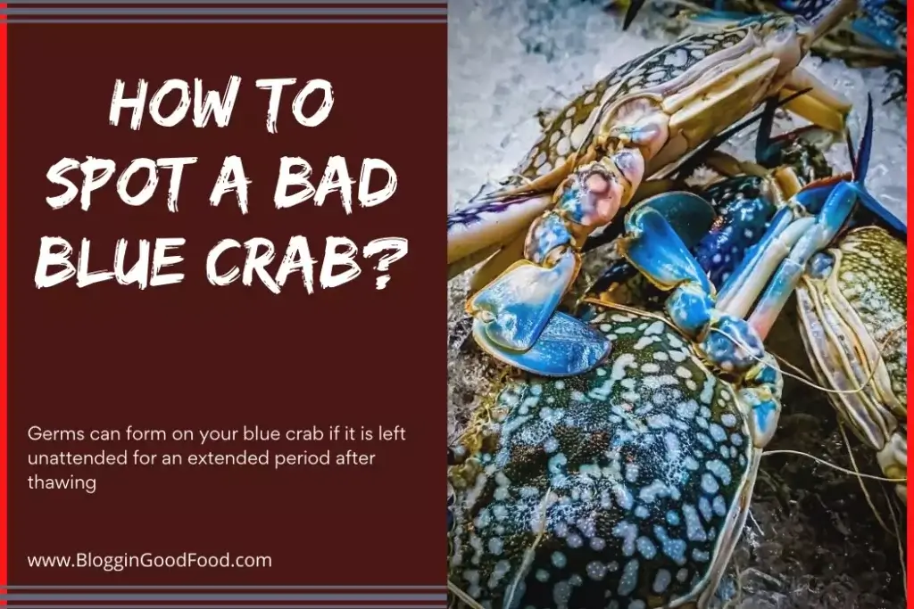 How to Spot a Bad Blue Crab