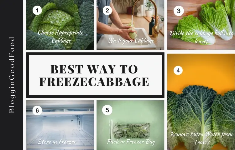 Best Ways to Freeze Cabbage