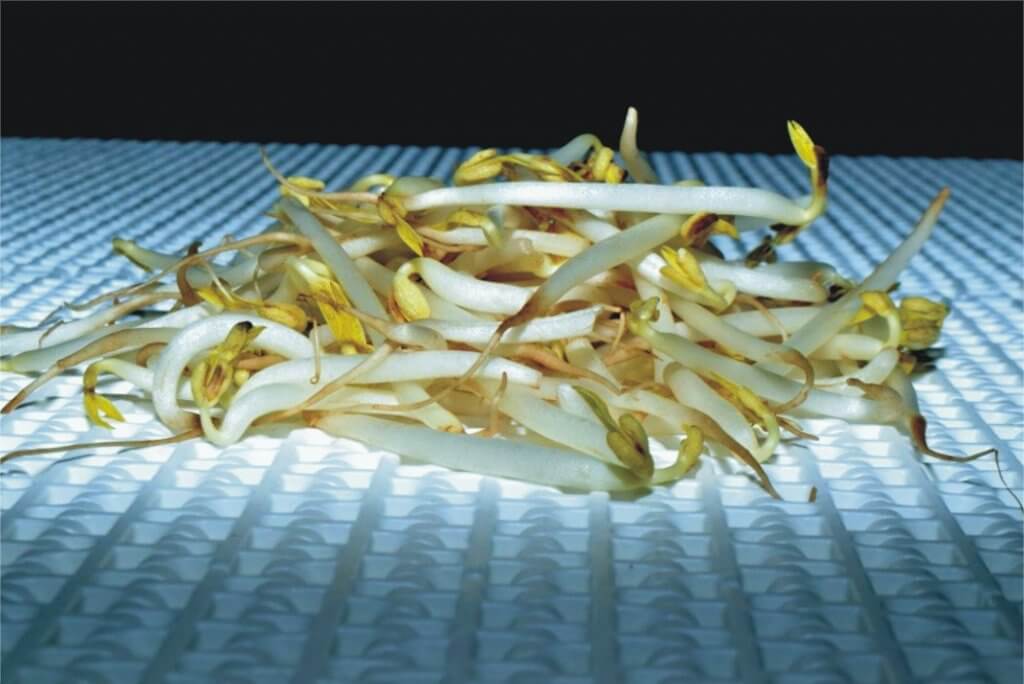 How Do You Defrost Bean Sprouts