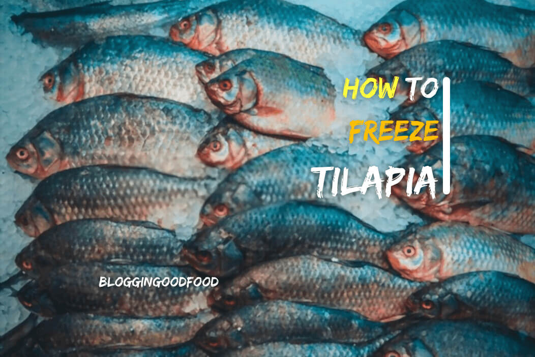 How to Freeze Tilapia