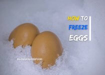 How to Freeze Eggs