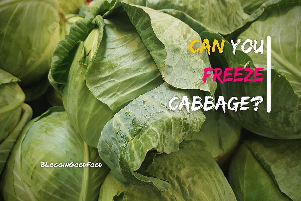 Can you Freeze Cabbage