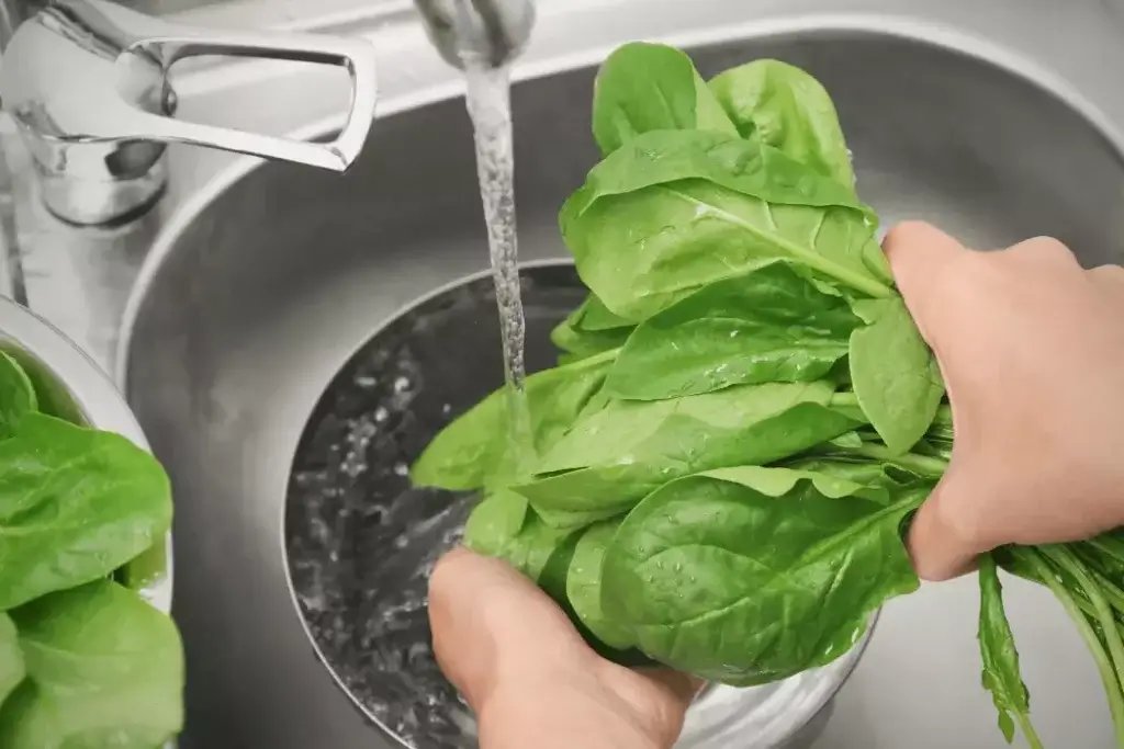 Thawing Spinach in the Sink