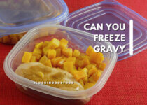 Can You Freeze Gravy
